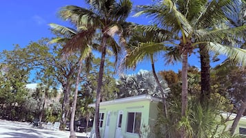 Standaard kamer, 1 kingsize bed | Individueel gedecoreerd, individueel gemeubileerd