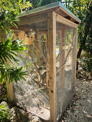 Quarto luxo, 1 cama Queen, acessível | Aceita animais de estimação