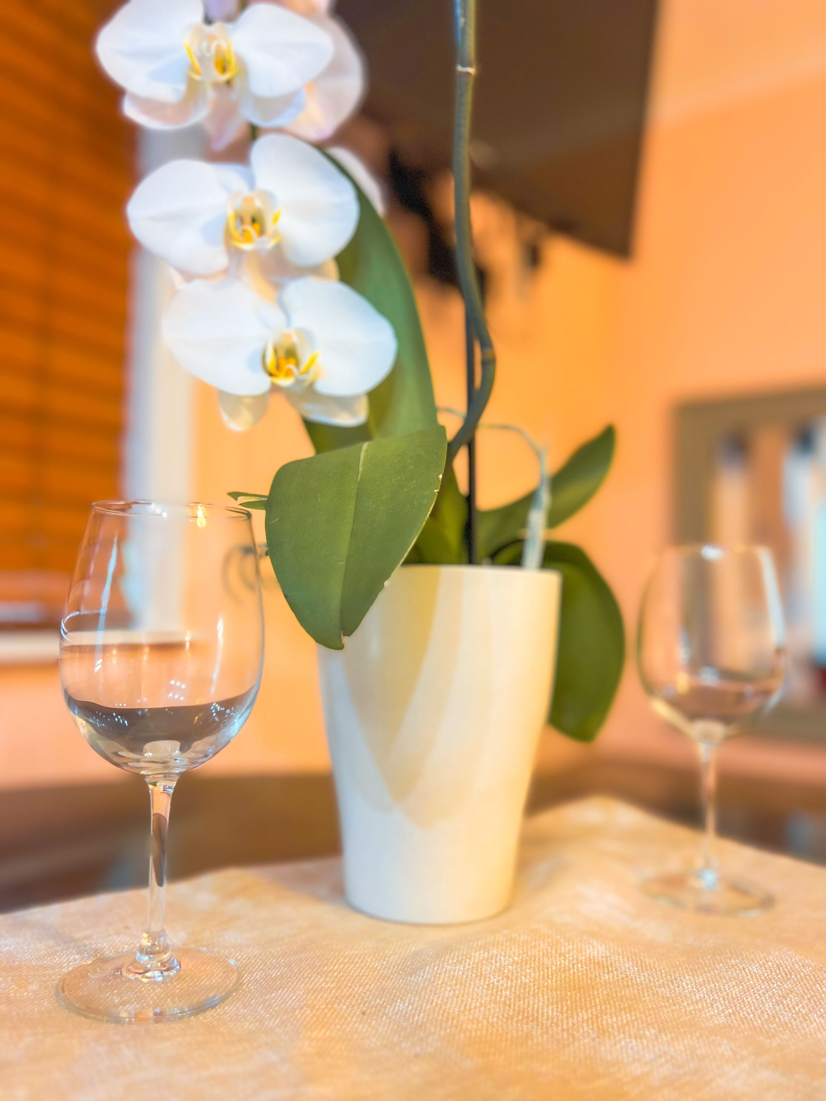 Eine Topf-Orchidee mit zwei Weingläsern auf einem Tisch.