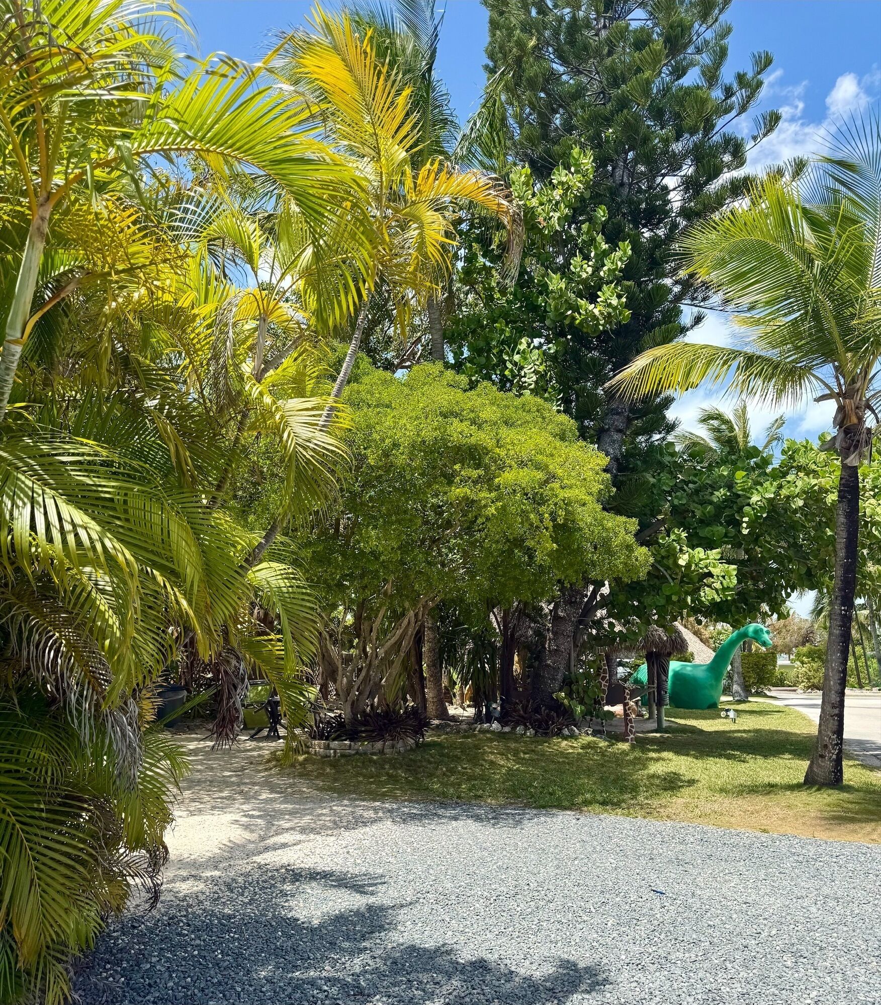 Cottage 8A | Courtyard view