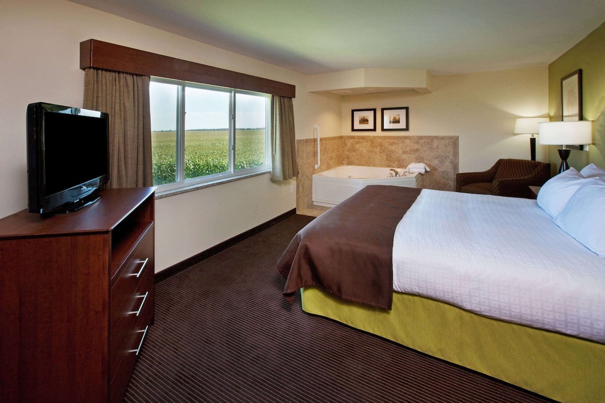 Une chambre d’hôtel avec un lit, un téléviseur posé sur une commode en bois, une fenêtre donnant sur un champ, une baignoire et une chaise.