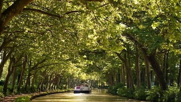 Un bote navegando por un canal bordeado de árboles.
