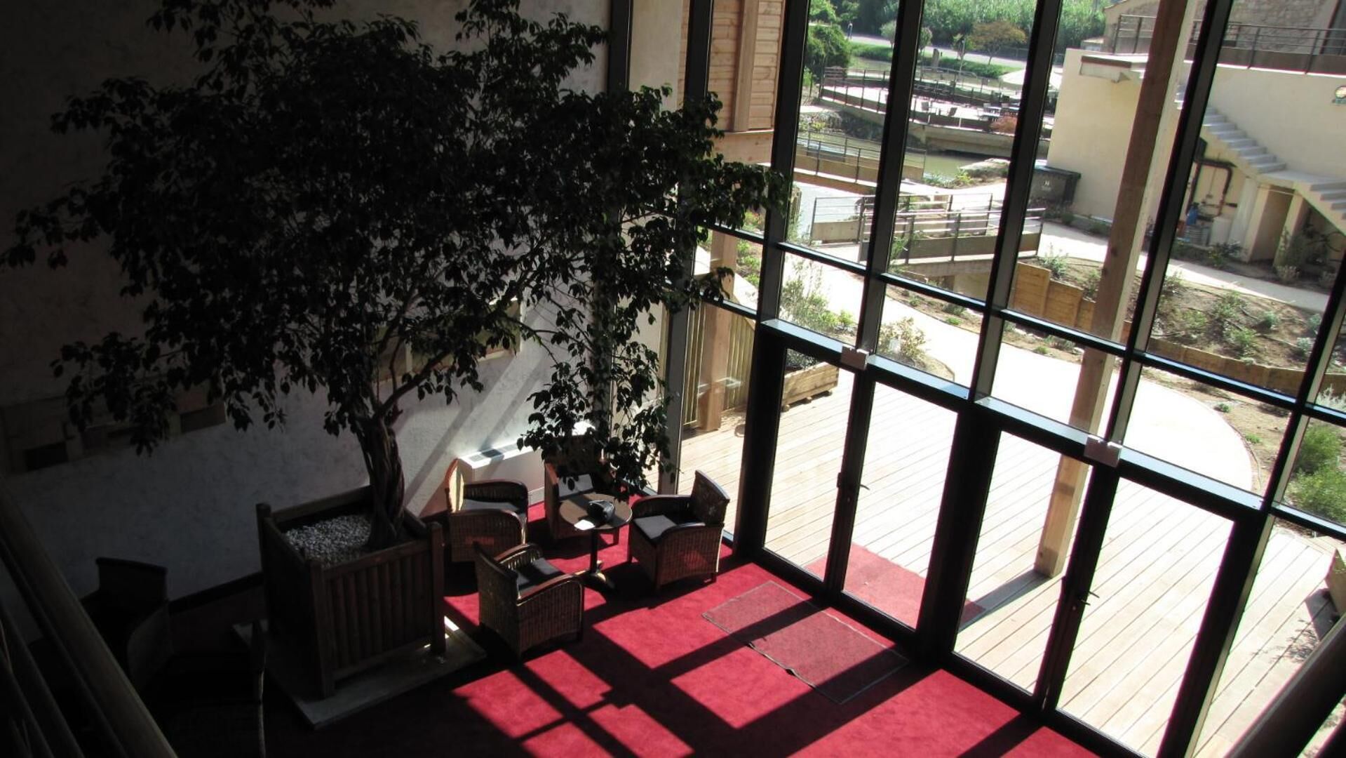 Una habitación con un gran ventanal, alfombra roja y un árbol.