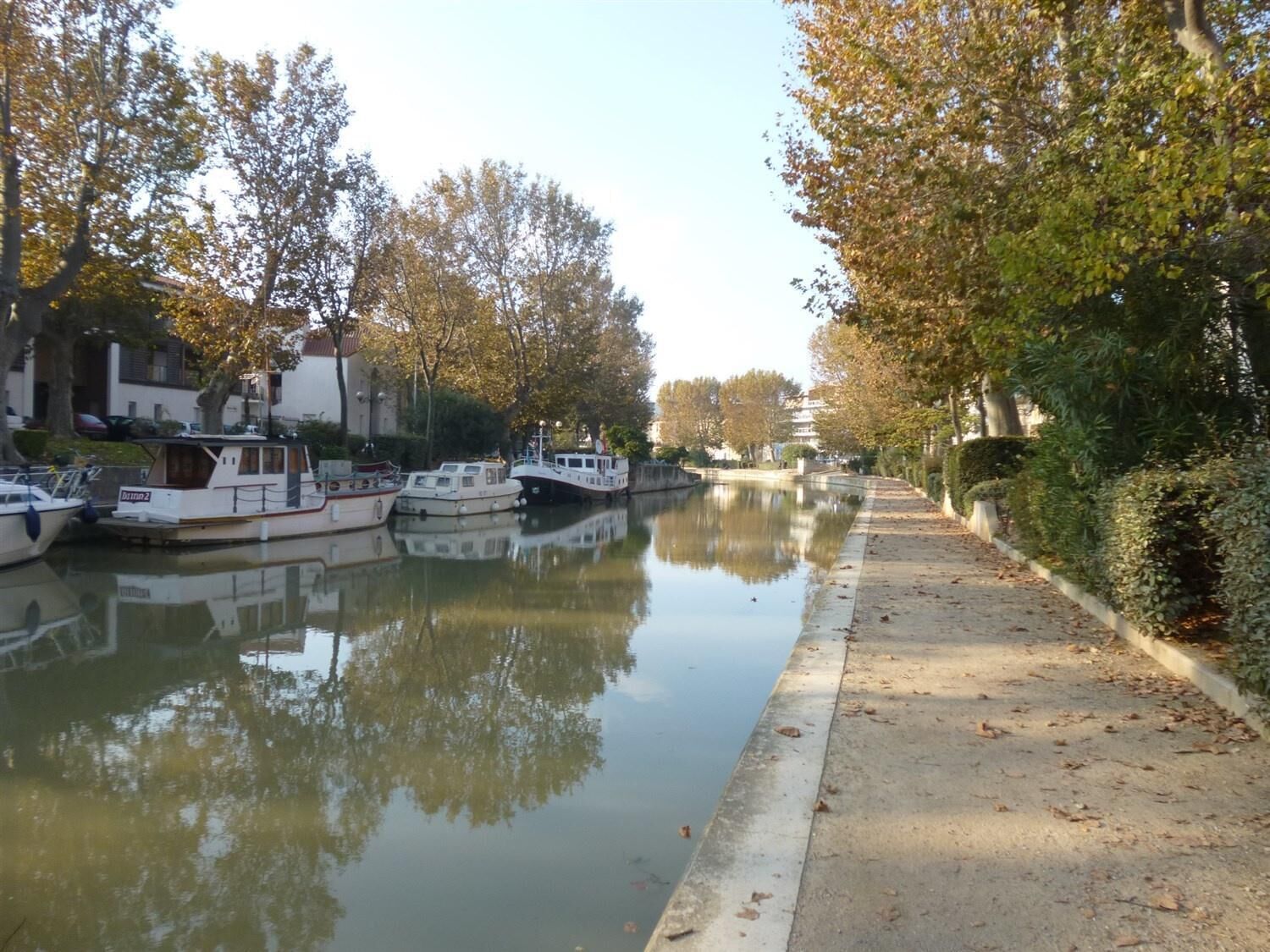 Photo - Ile du Gua Suites