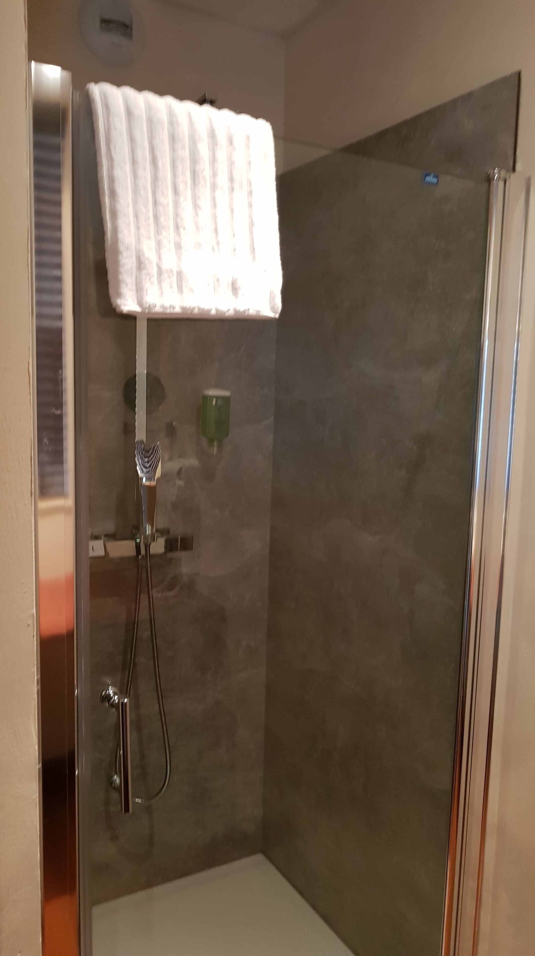 Una ducha con puerta de cristal, una toalla colgada en un perchero y un dispensador de jabón verde.
