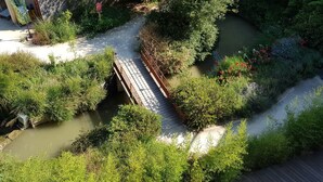 Un puente de madera cruza un estrecho canal de agua, rodeado de abundante vegetación y un sendero pavimentado.