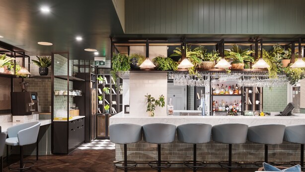 Zona de bar moderna con barra, taburetes y varias plantas.