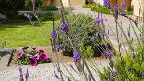 Un jardín con lavanda y flores moradas, una palmera y un edificio con fachada blanca y un patio cubierto.