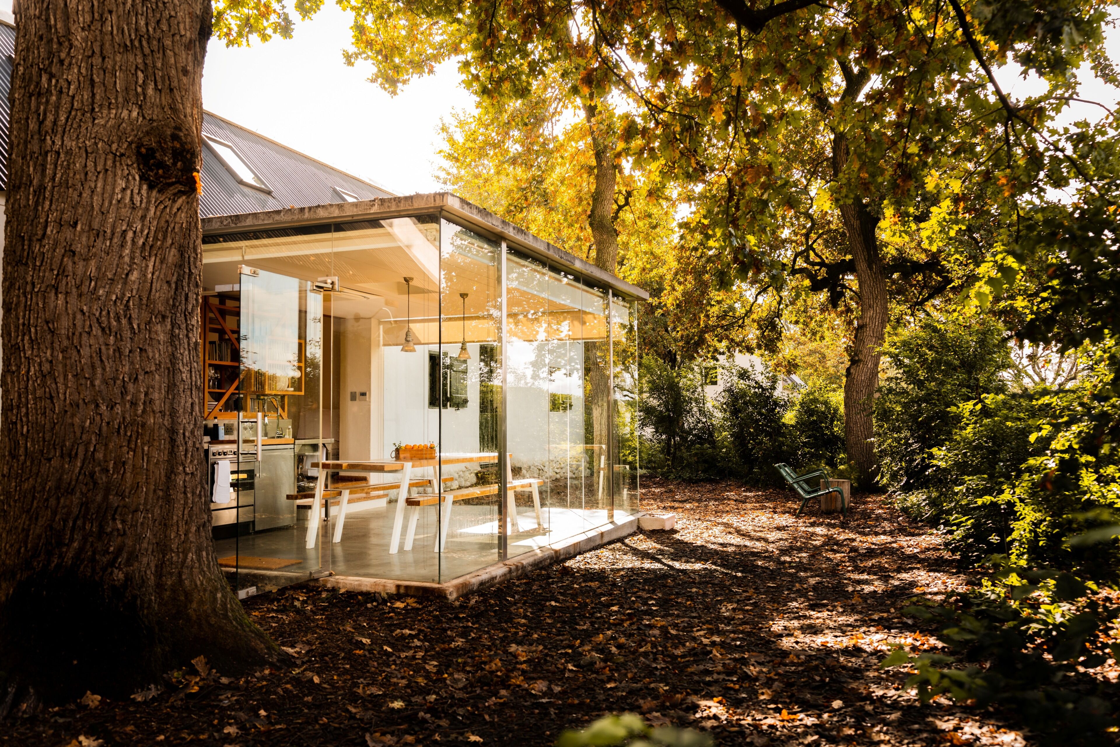A modern house with a glass extension, a wooden bench, and a tree in the foreground.