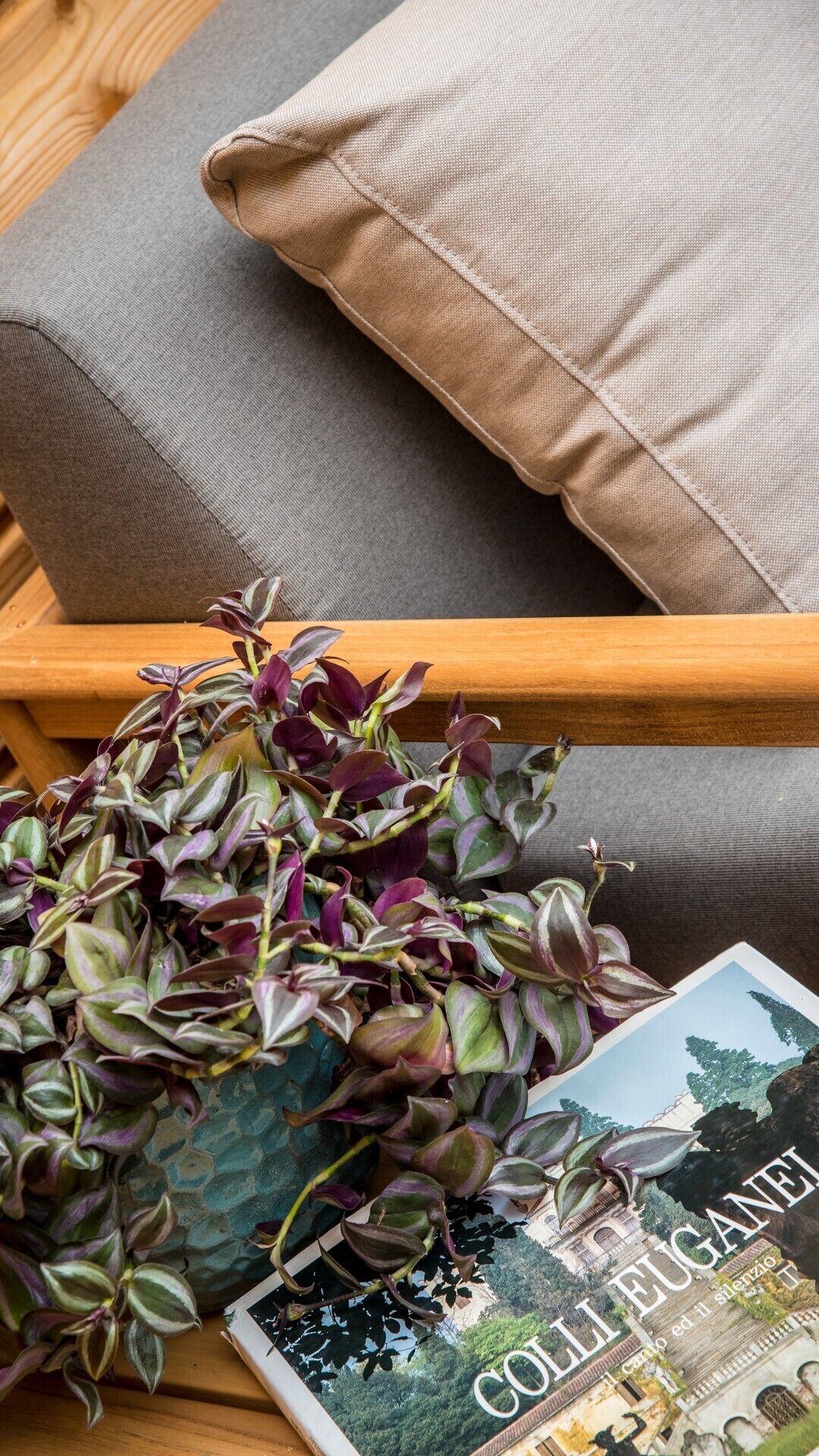 En grå sofa med en brun pude, et træsidebord og en plante med farverige blade.
