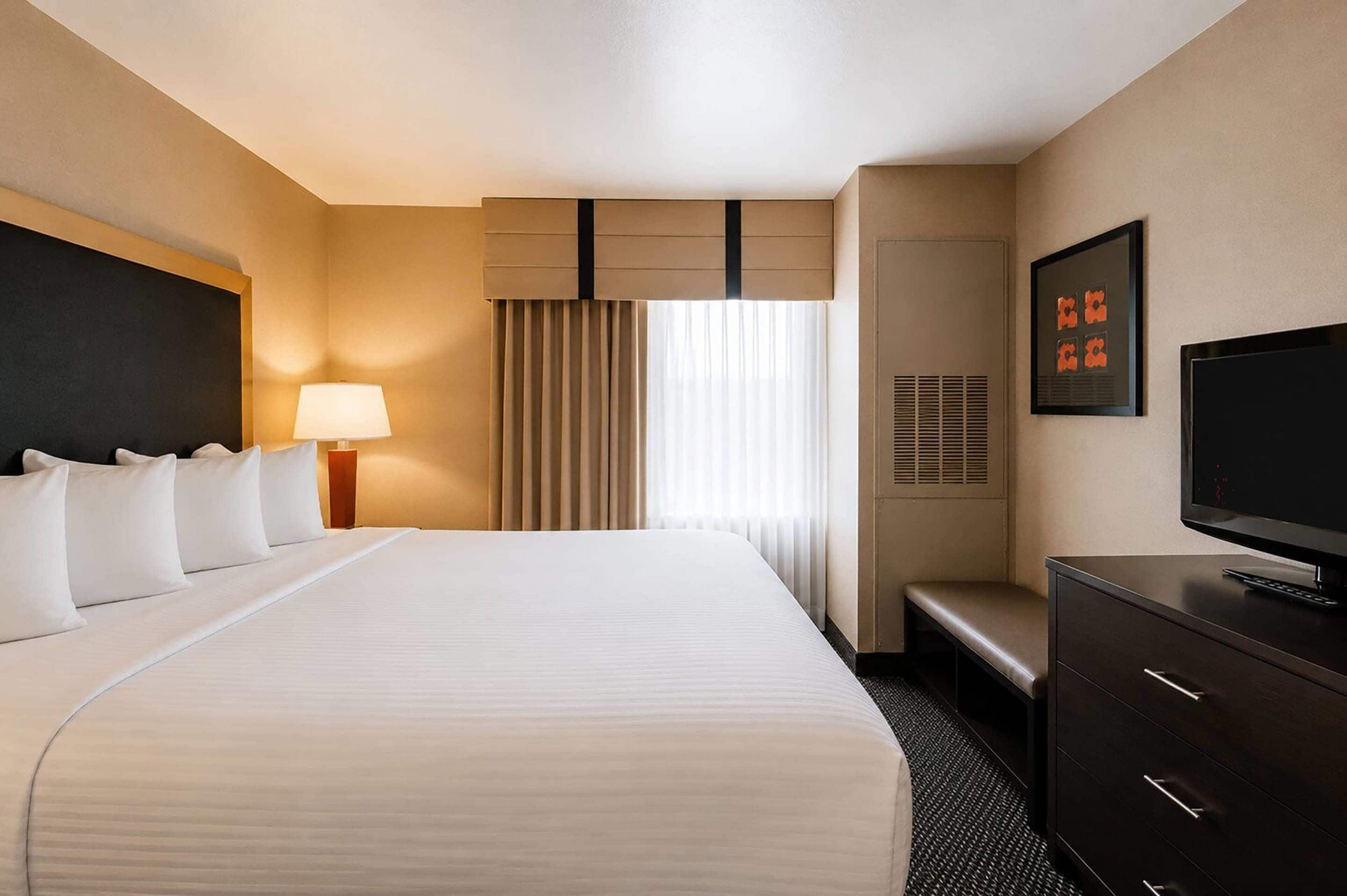 A hotel room with a large bed, a bedside lamp, a television, a bench, and a framed picture on the wall.