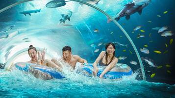 An underwater tunnel with a clear view of various fish and sharks swimming around.