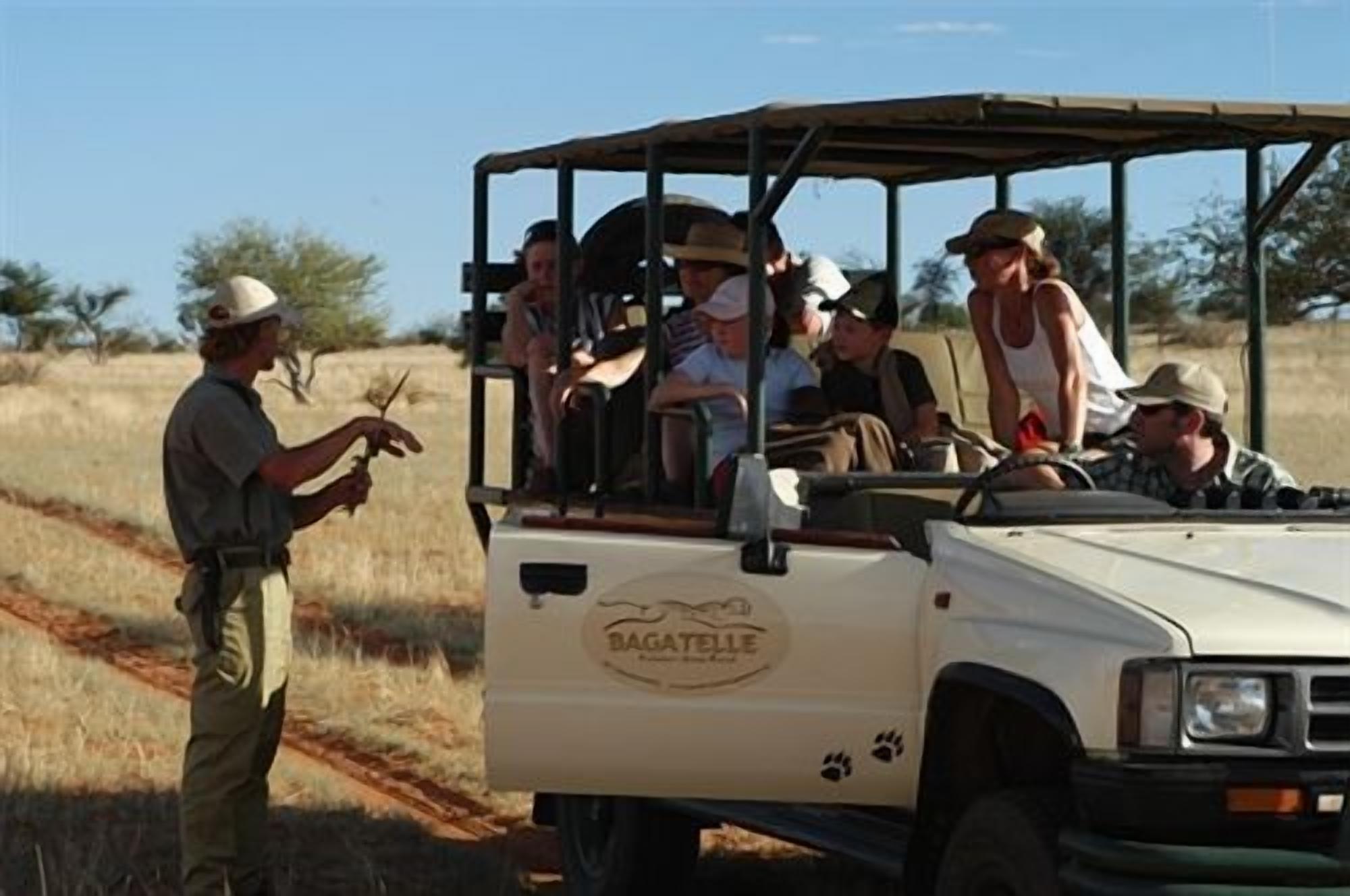 Safari