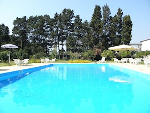 Outdoor pool, open 9:00 AM to 7:00 PM, pool loungers