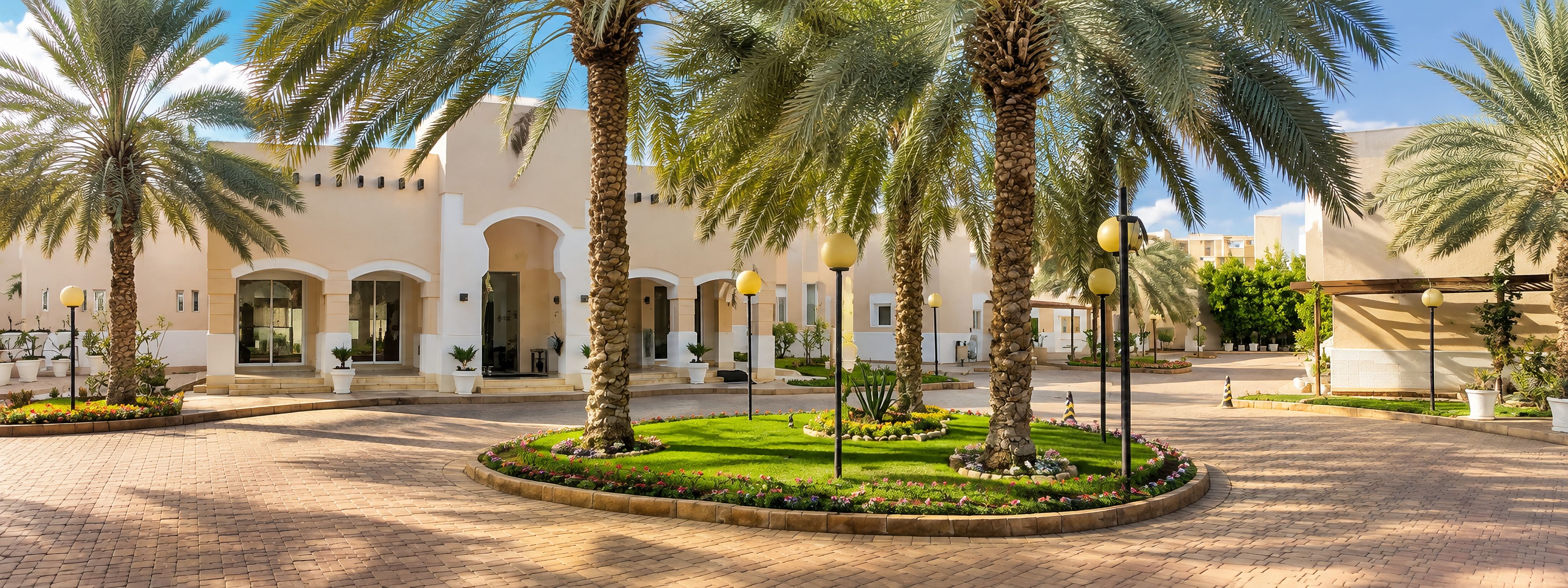 A courtyard with palm trees, a paved walkway, and a building with arched doorways.