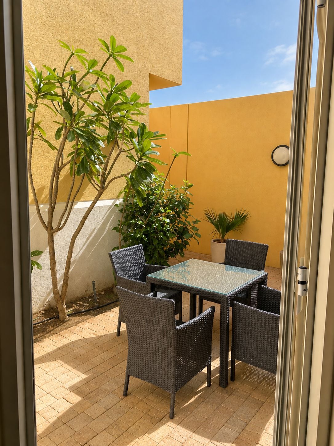 Un patio exterior con una mesa de vidrio y sillas de mimbre, rodeado de plantas en macetas y una pared amarilla.