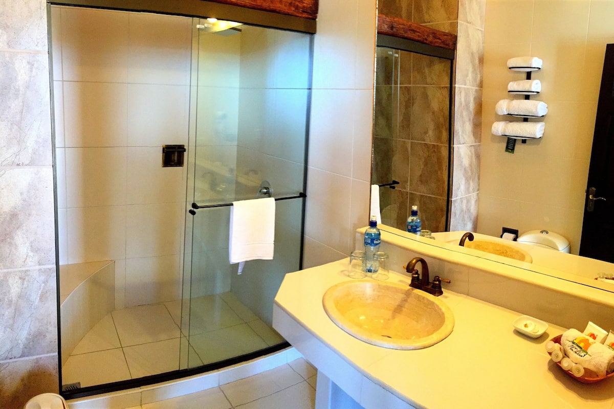 shower, free toiletries, hair dryer, towels