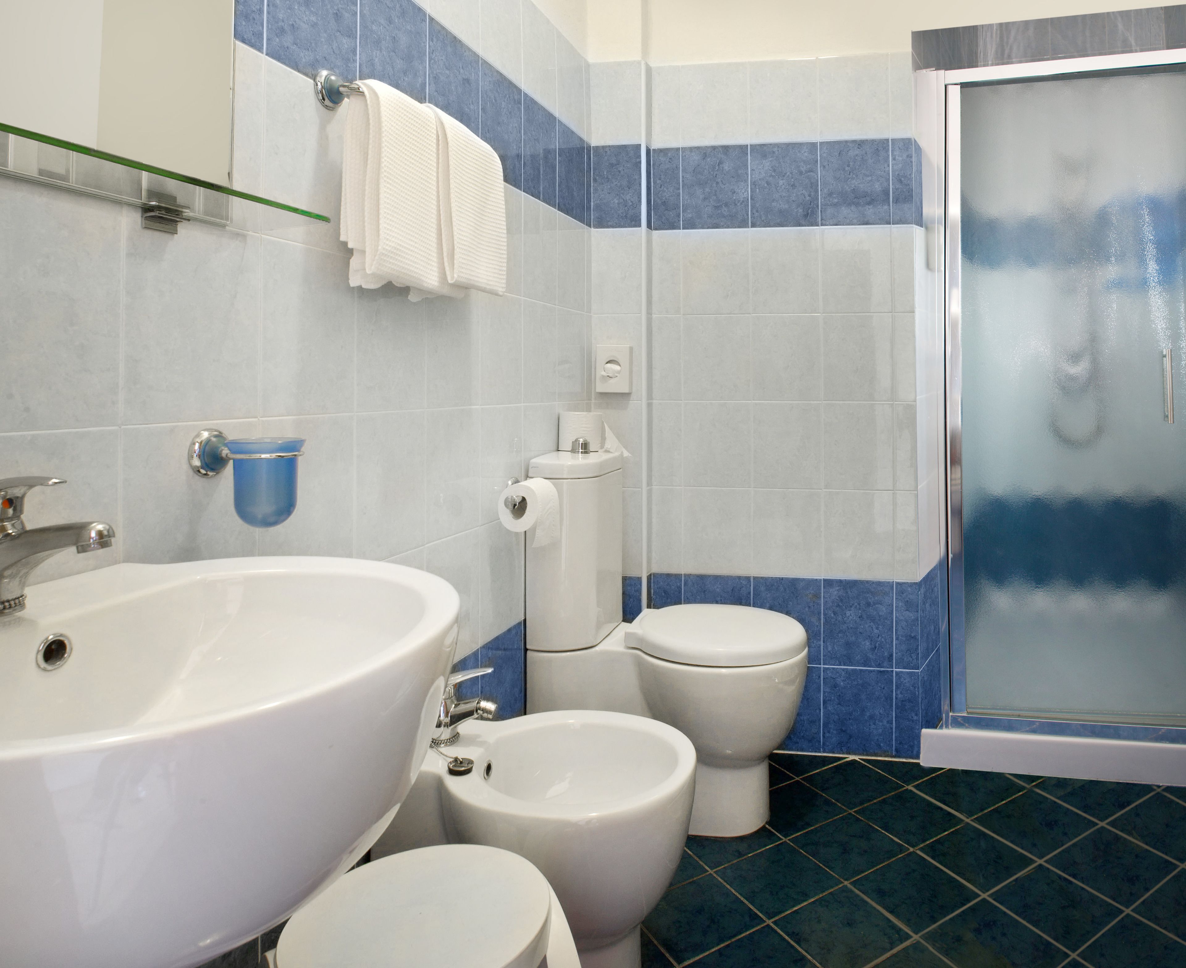 shower, hair dryer, bidet, towels