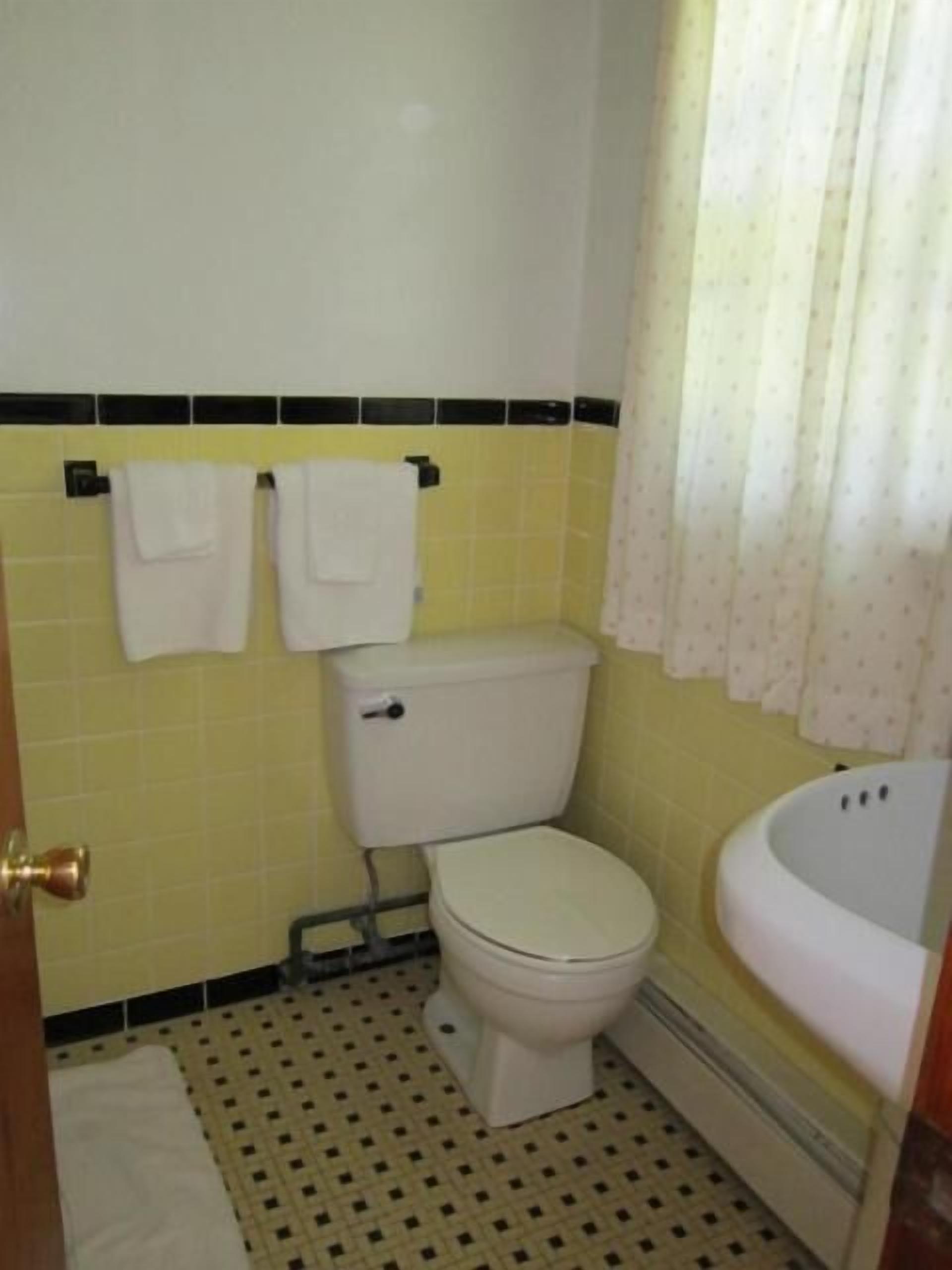 Een badkamer met toilet, wastafel en douchegordijn.