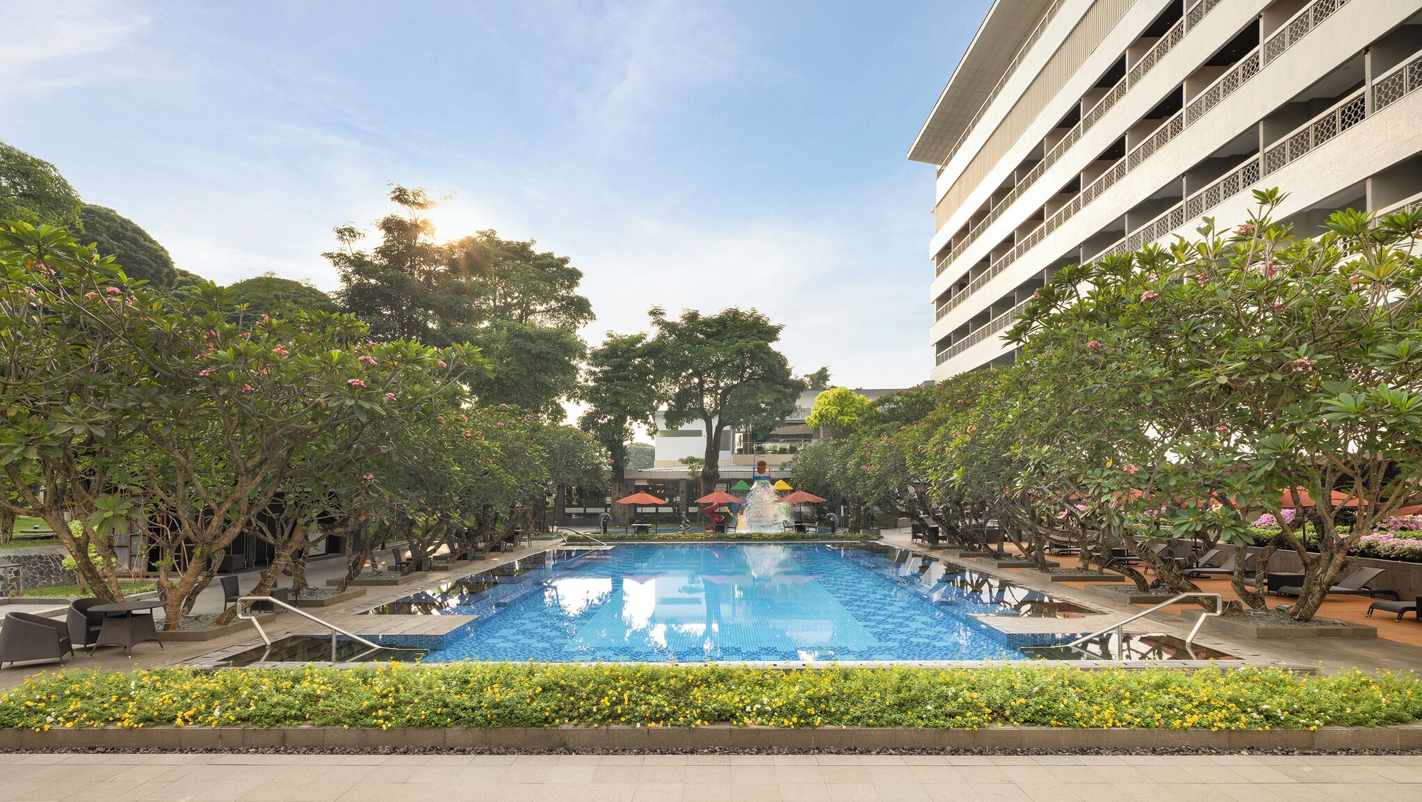 Outdoor pool, sun loungers