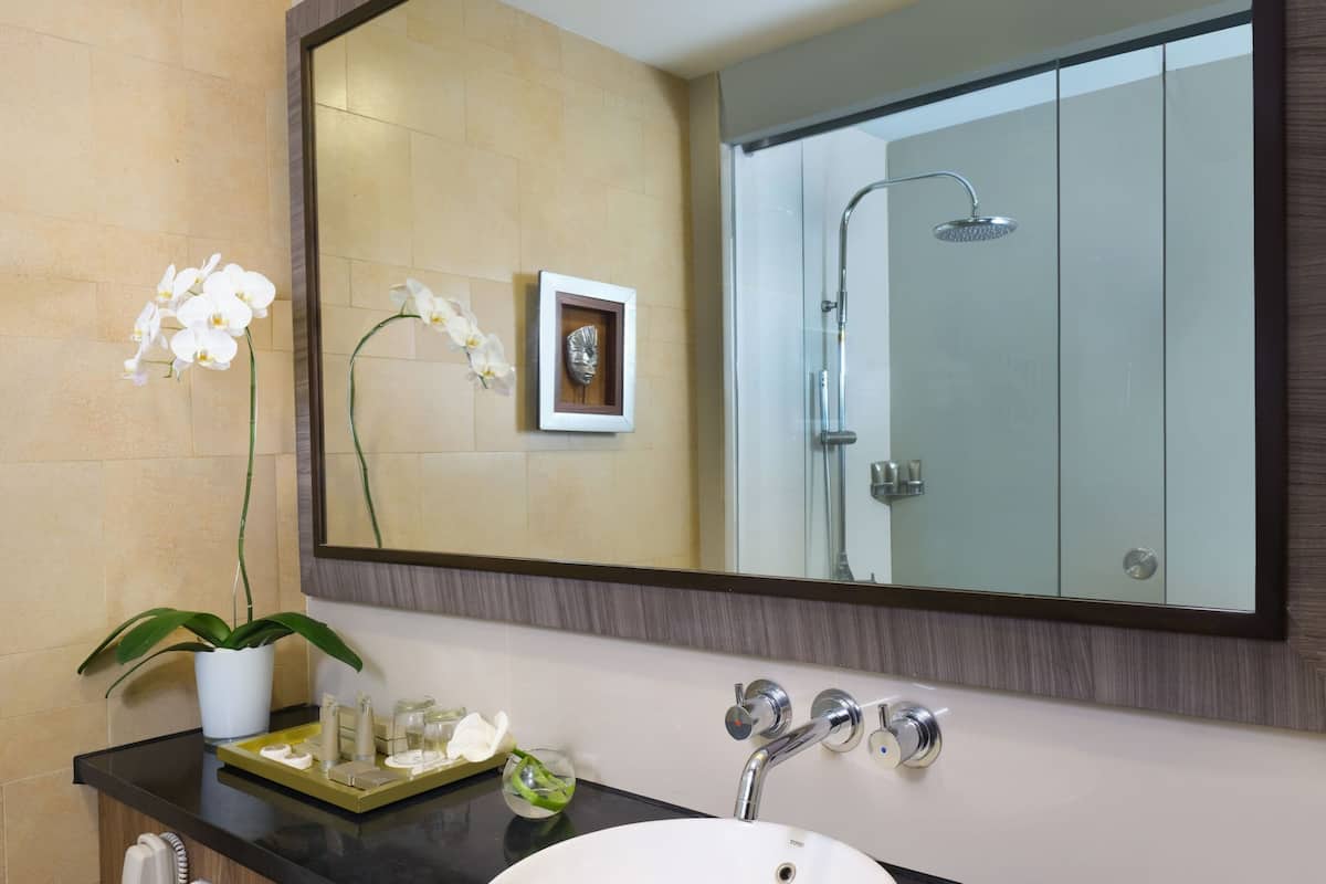 rainfall showerhead, free toiletries, hair dryer, slippers