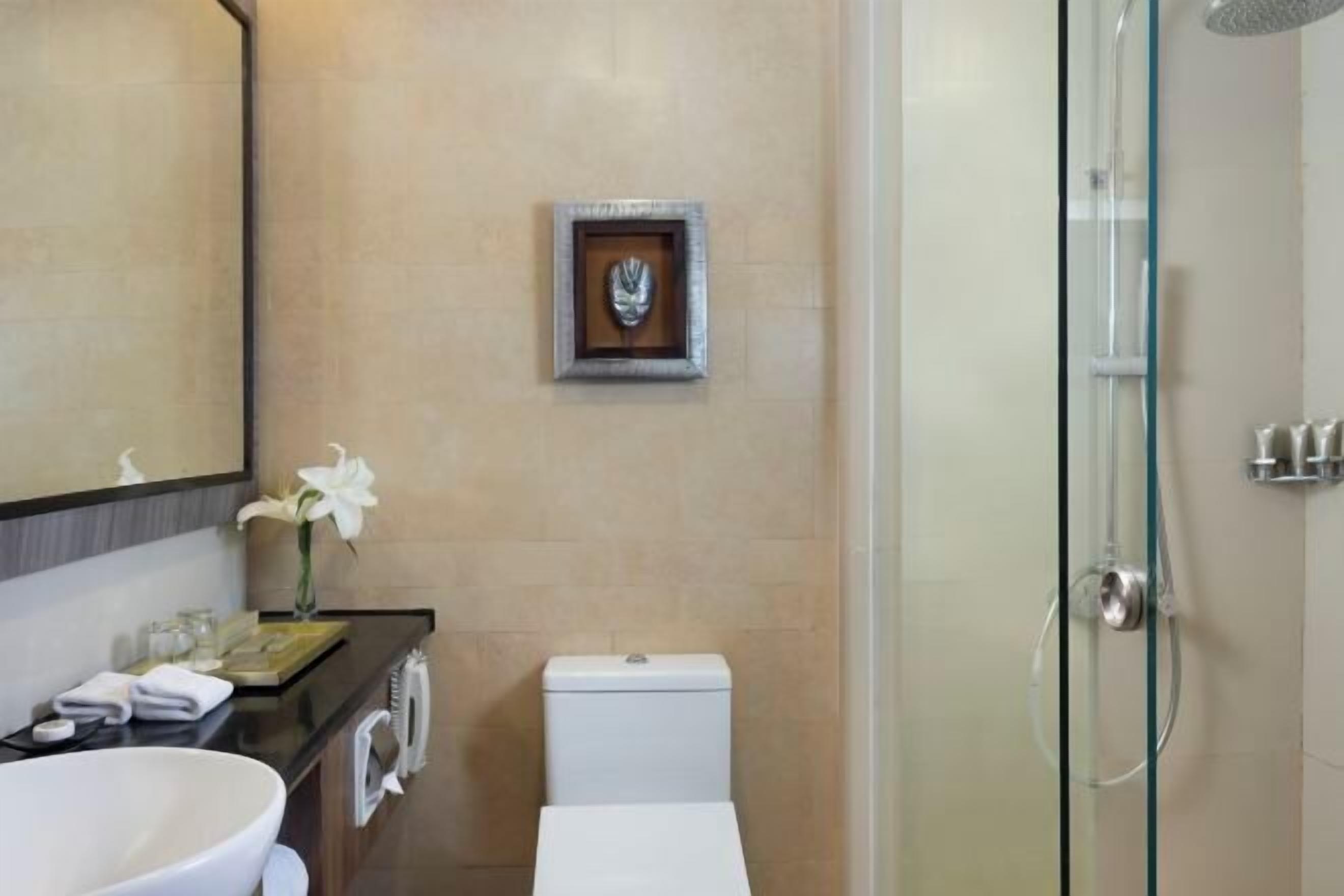 Cabezal de ducha tipo lluvia y artículos de higiene personal gratuitos