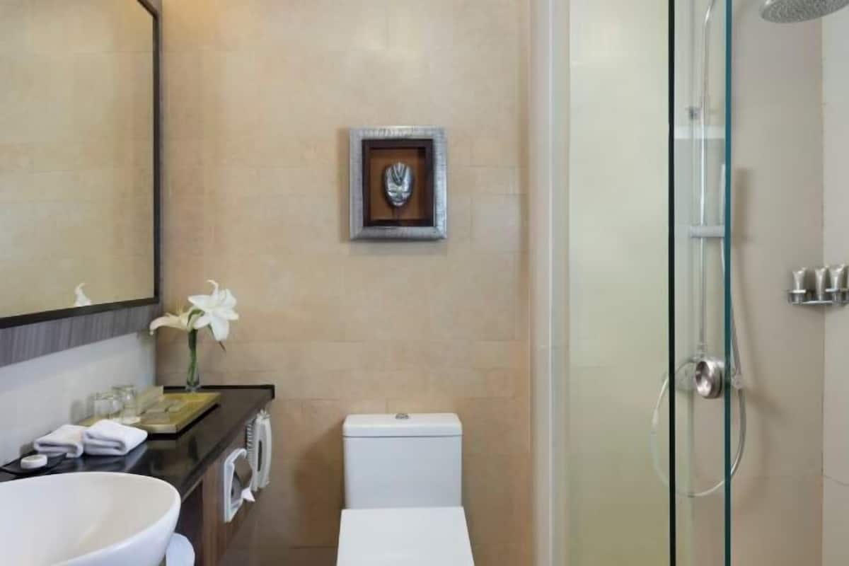 Cabezal de ducha tipo lluvia y artículos de higiene personal gratuitos