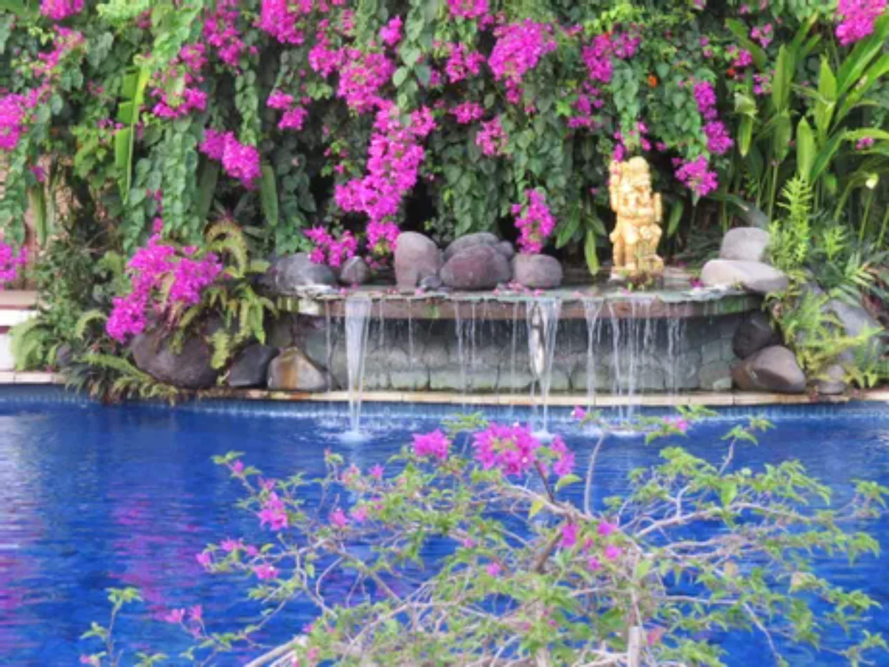 outdoor pool, pool loungers