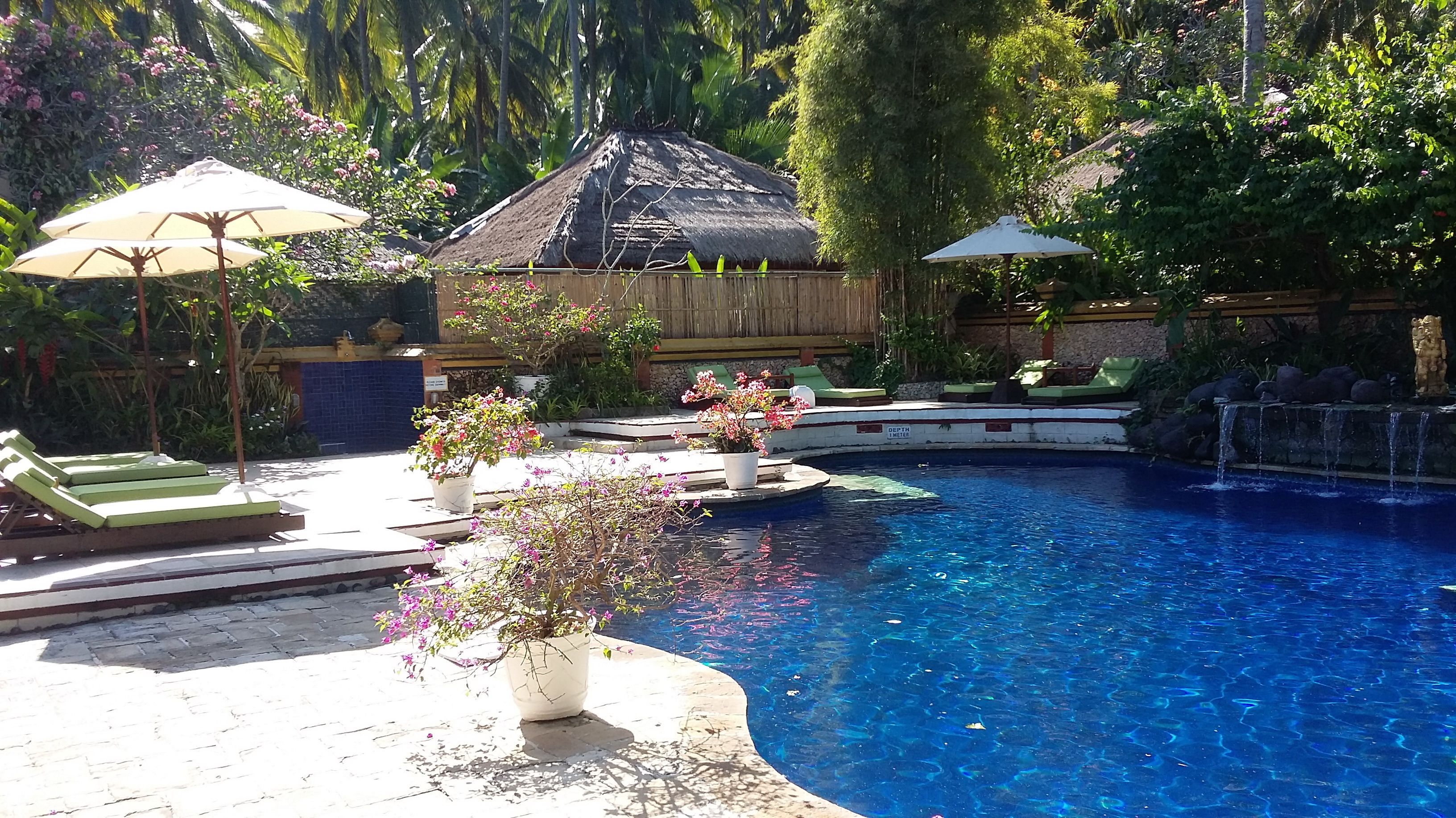 outdoor pool, pool loungers