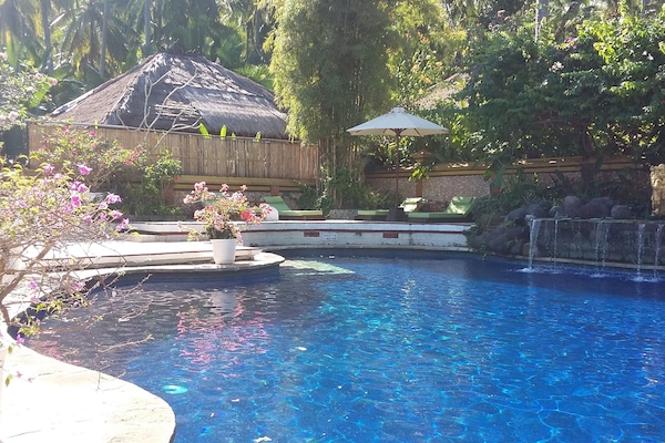 Piscine extérieure, chaises longues