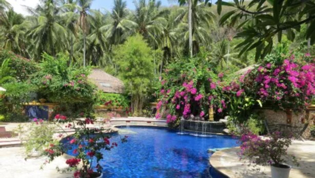 Una piscina rodeada de exuberante vegetación y plantas florecientes.