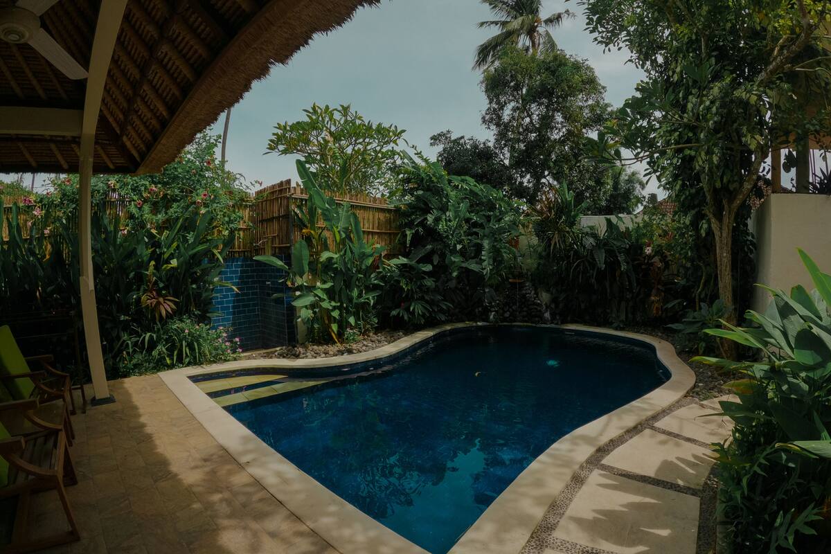 A swimming pool surrounded by lush greenery and a wooden deck.