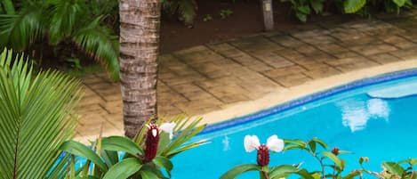 Una piscina al aire libre, cabañas de piscina gratuitas