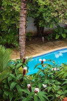 Una piscina al aire libre, camas de piscina gratis