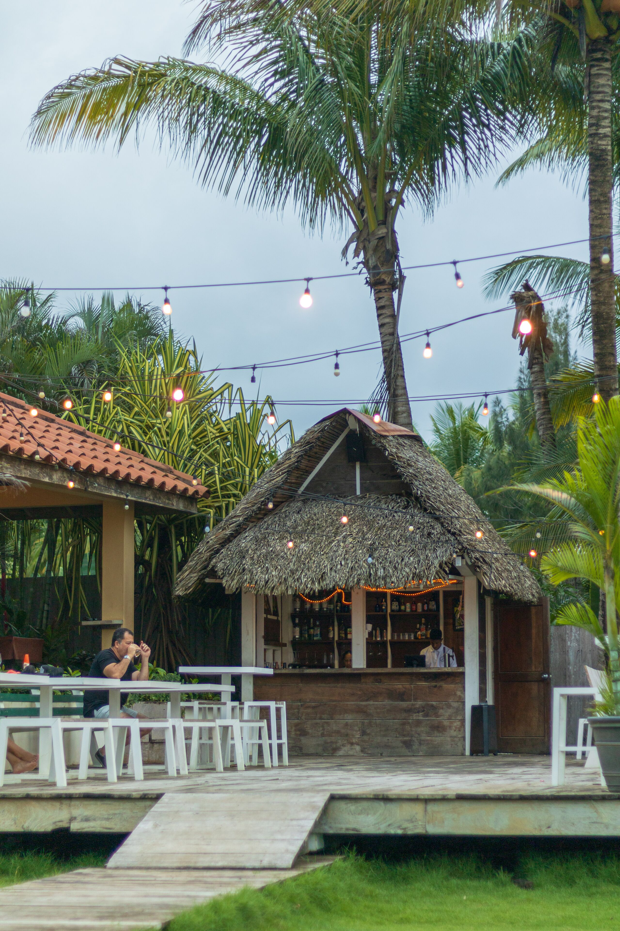 A thatched-roof hut with a bar area, surrounded by palm trees and string lights.