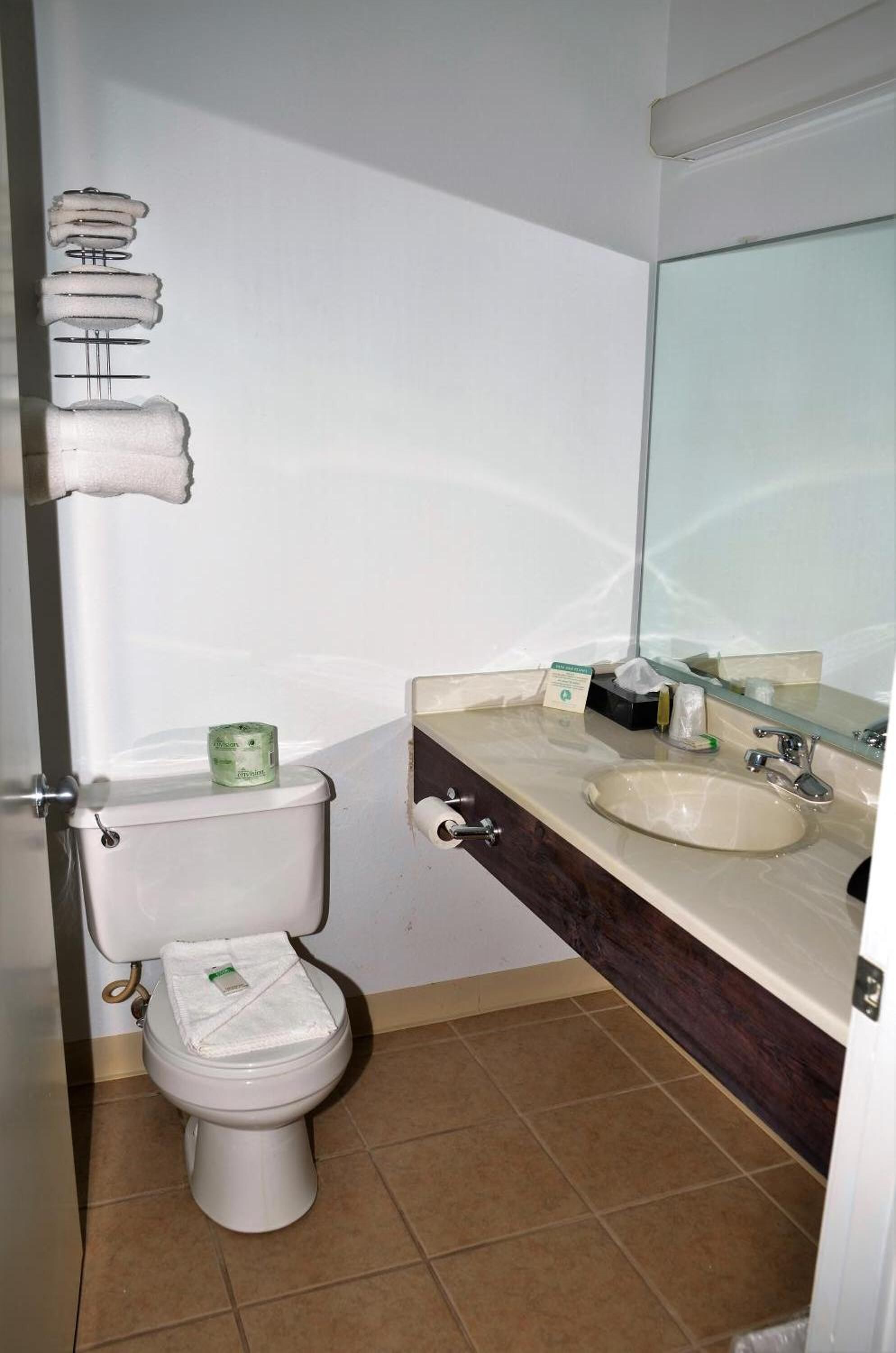 combined shower/bathtub, hair dryer