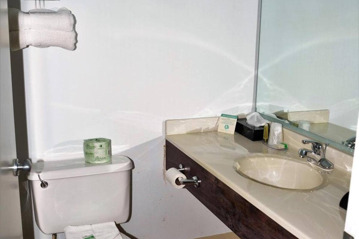 combined shower/bathtub, hair dryer