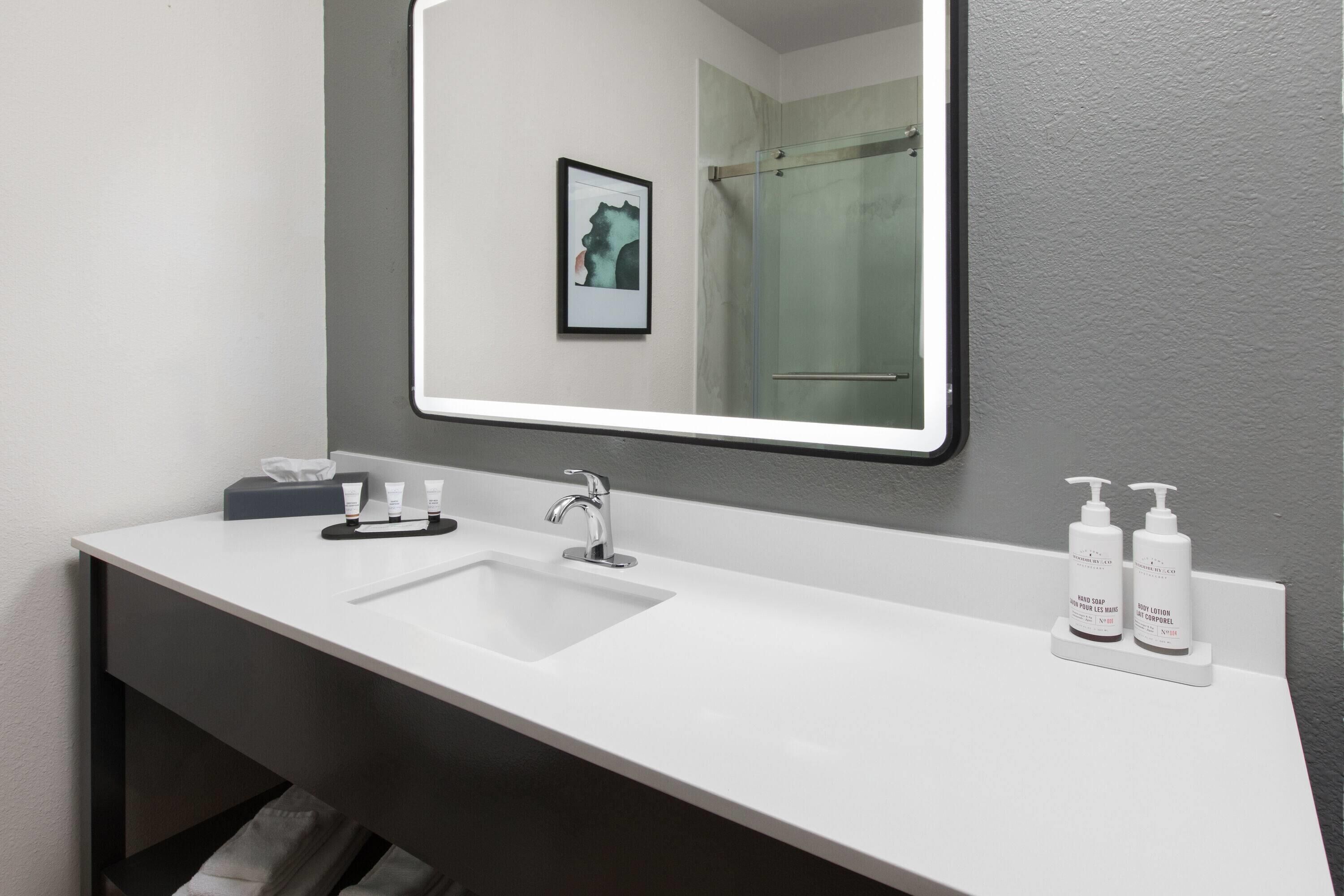 Une salle de bain moderne avec un lavabo blanc, un miroir et deux flacons de savon pour les mains.