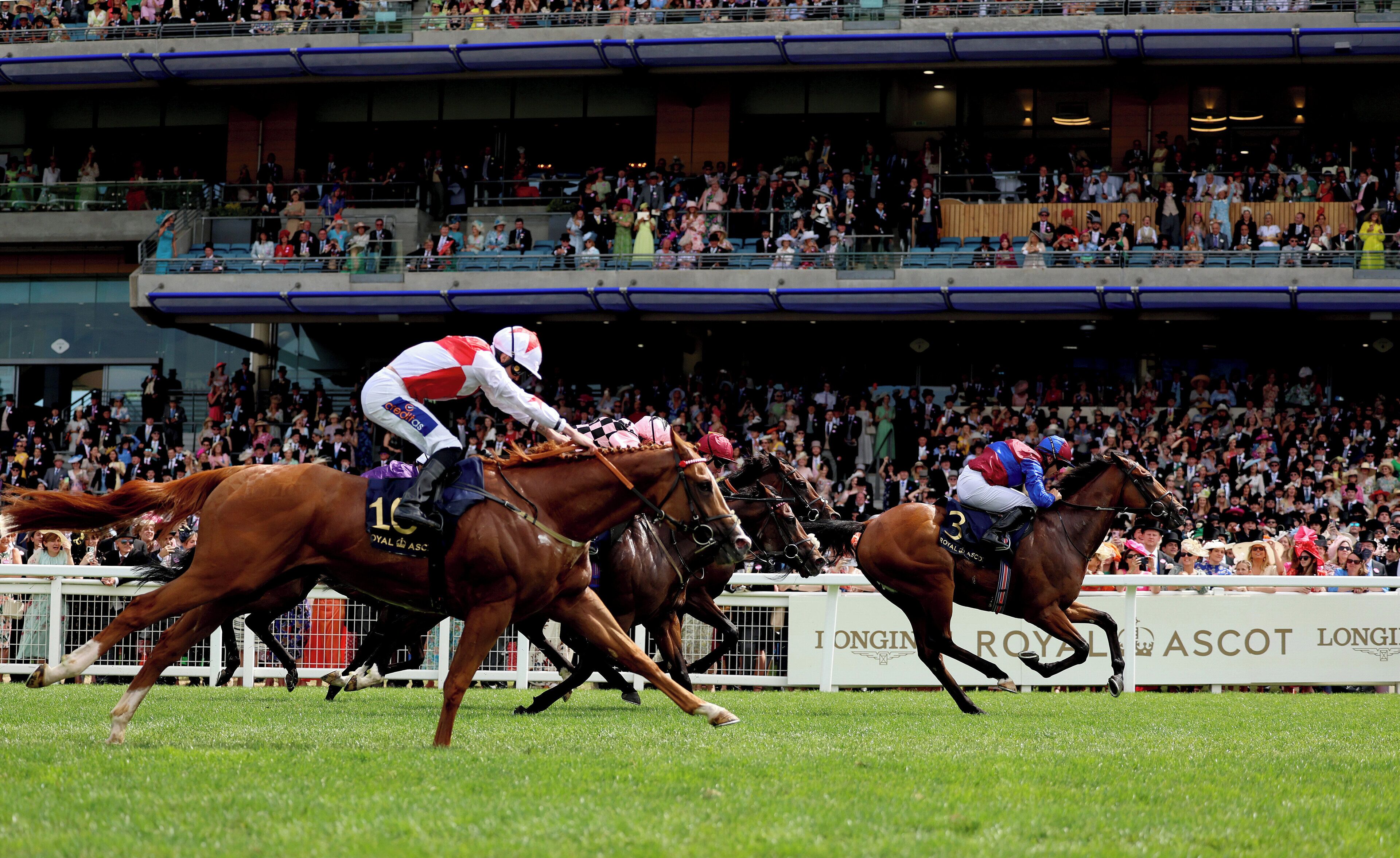 Photo - Holiday Inn Express Windsor by IHG