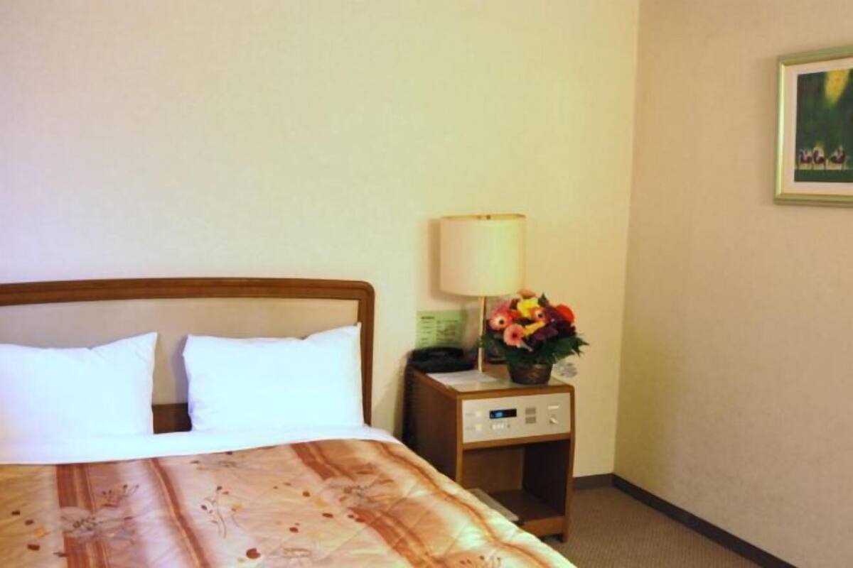 Safe på rommet, lydisolert, strykejern/-brett og wi-fi (inkludert)