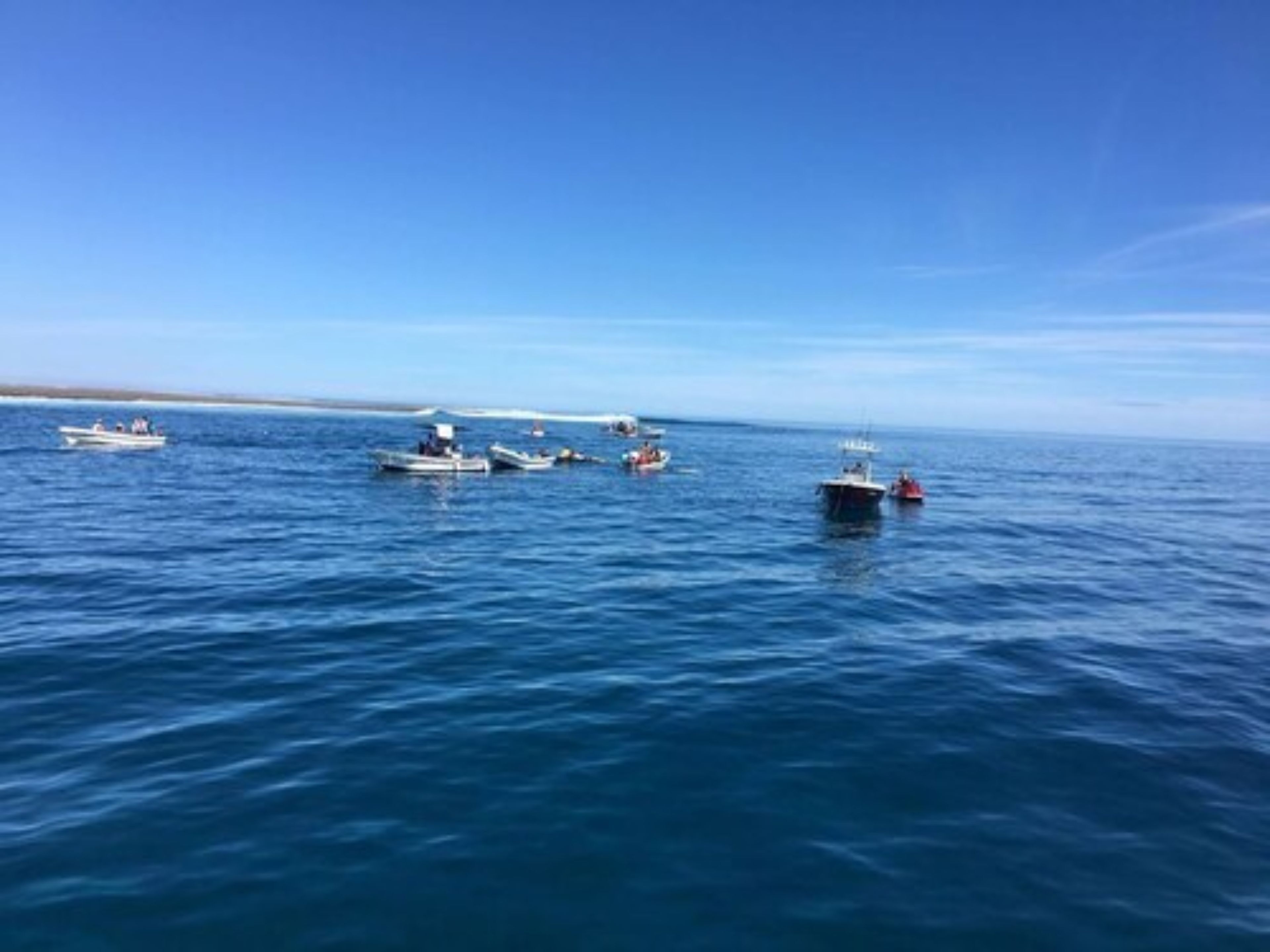 Une mer calme avec plusieurs bateaux.