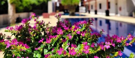 Vista frontal de la propiedad