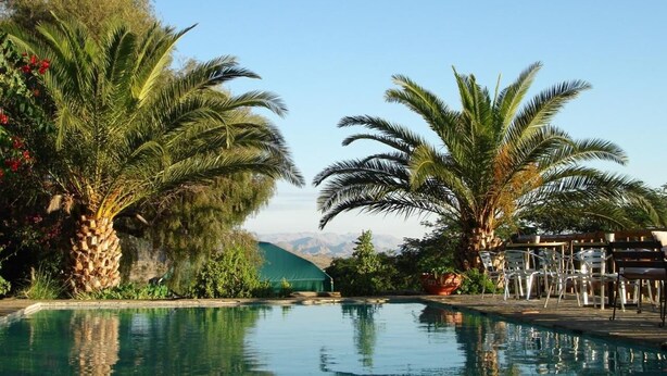 A pool area with palm trees and a view of mountains.