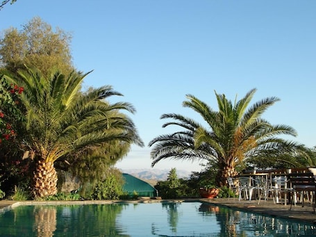 A pool area with palm trees and a view of mountains.