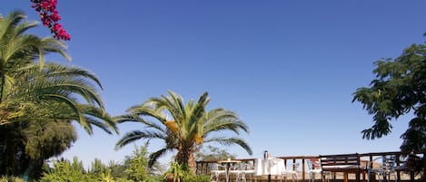 Una piscina al aire libre de temporada, sombrillas