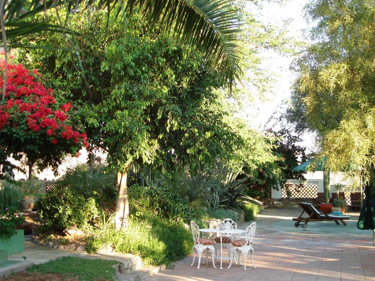 Eine Terrasse im Freien mit Tisch und Stühlen, umgeben von üppiger Vegetation und einer Palme.
