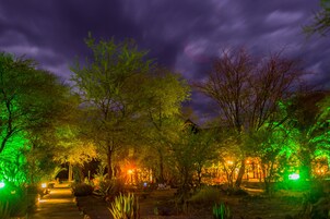Un jardín nocturno con senderos y árboles, iluminado con luz ambiental.