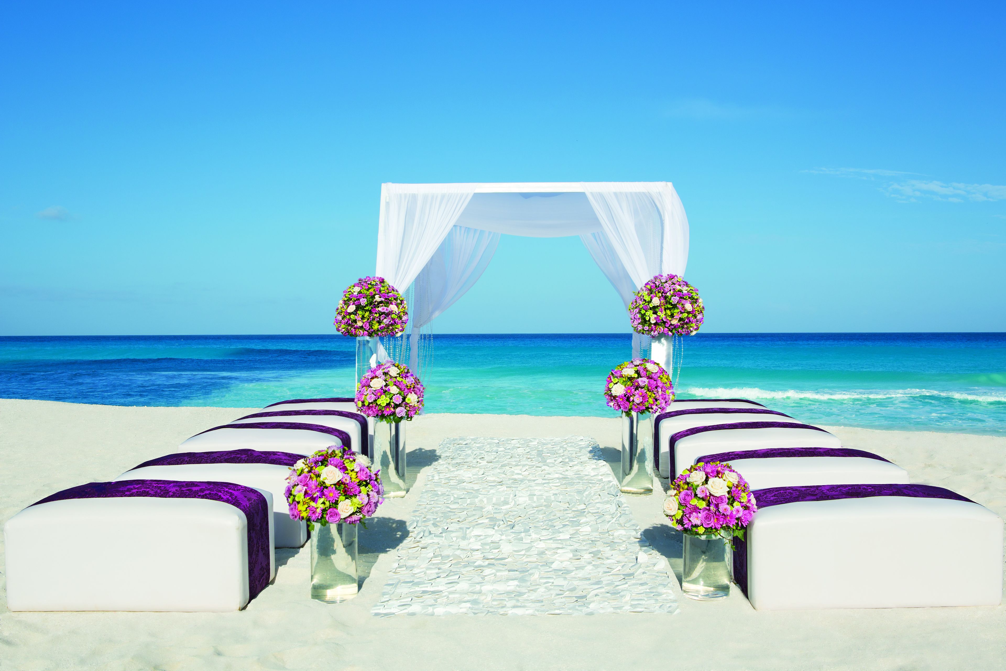Outdoor wedding area
