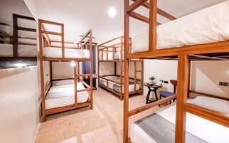 A room with bunk beds arranged in a corner, a small table with a plant, and a chair.