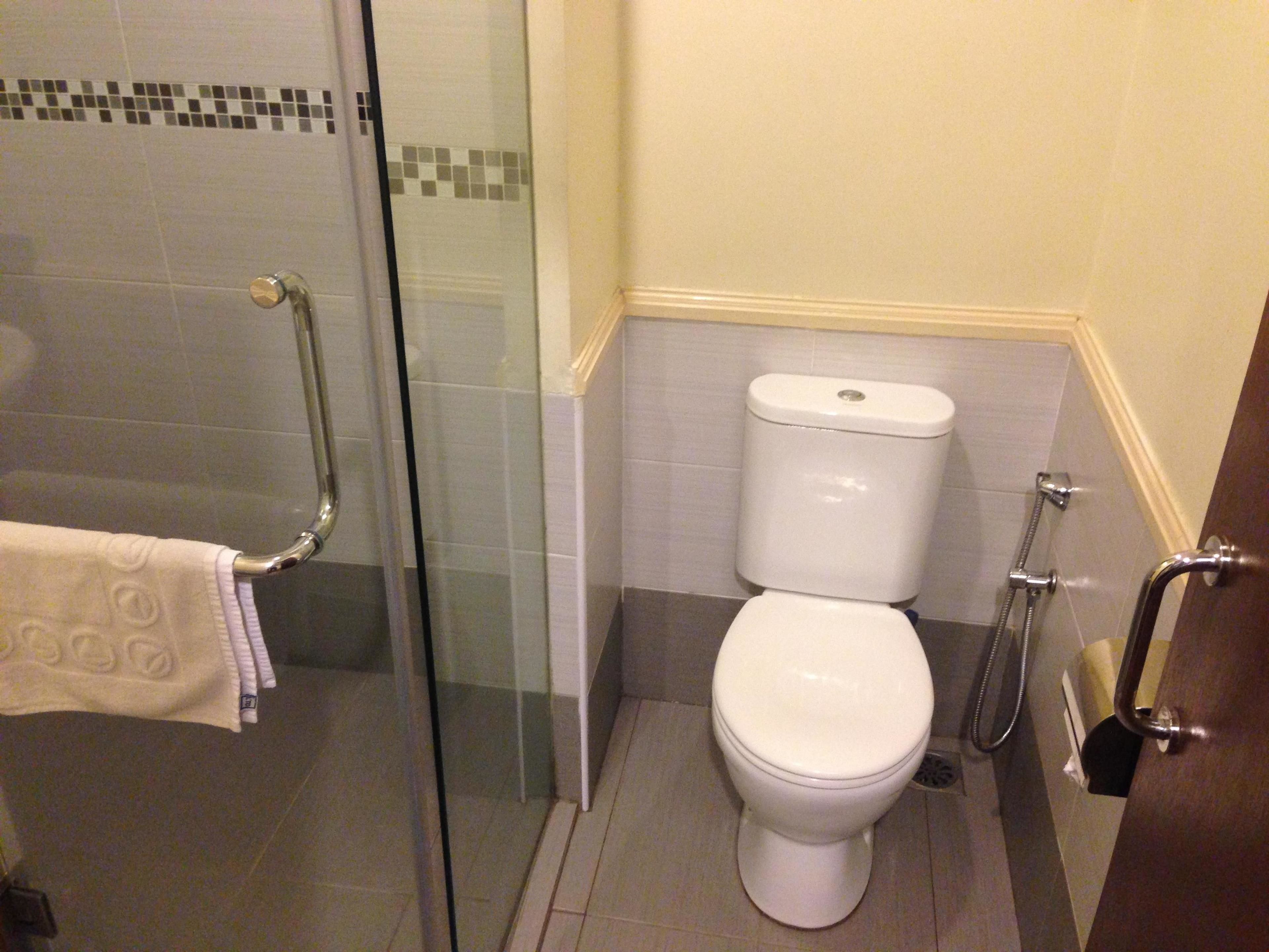 A bathroom with a glass shower enclosure, a white toilet, and a grab bar.